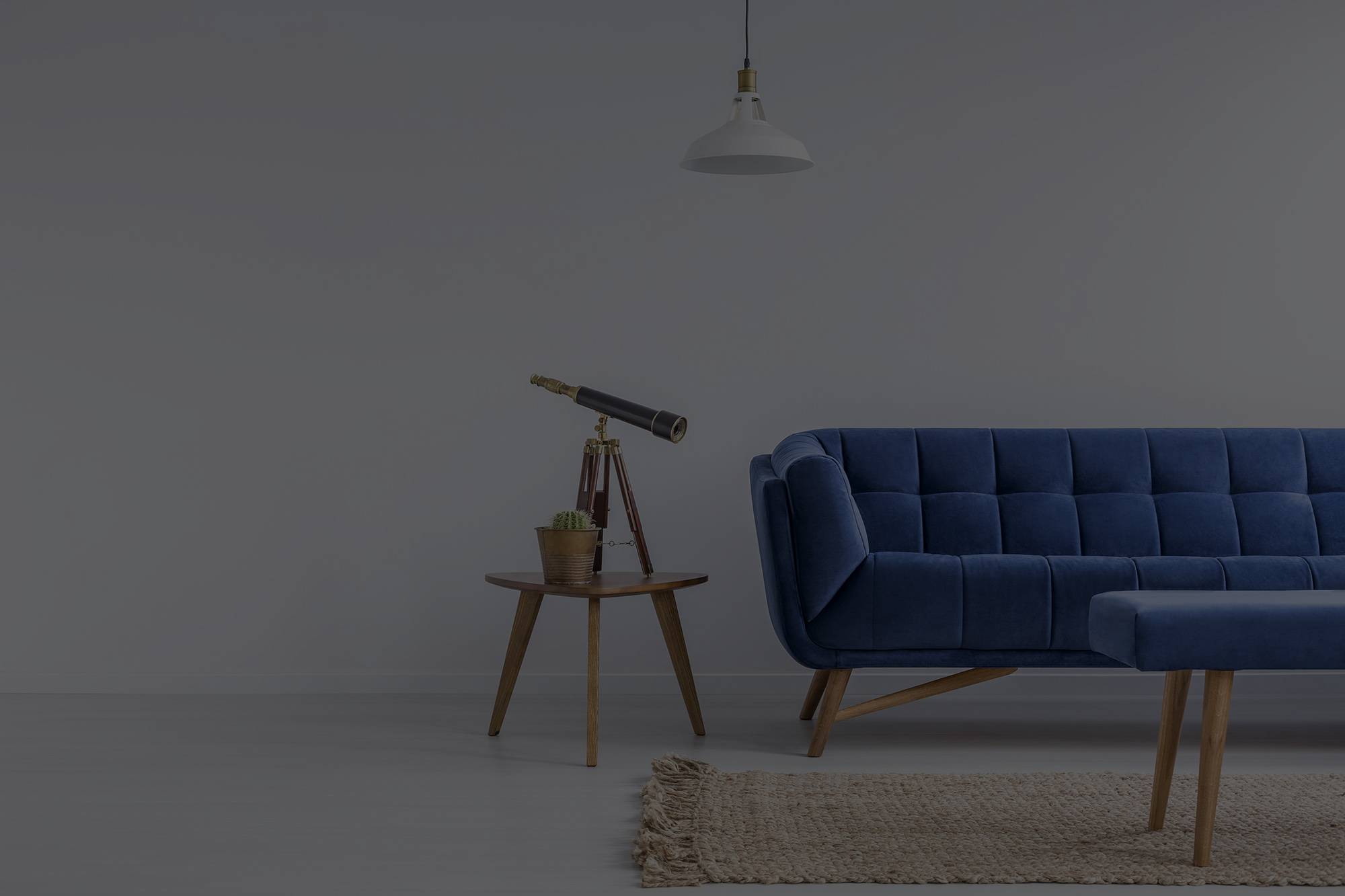 Career